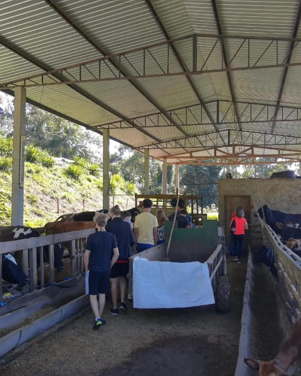 Sitio Hoffmann Otel Pomerode Dış mekan fotoğraf